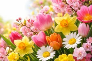Fresh Blooms: Vibrant Spring Phone Wallpapers to Brighten Your Screen