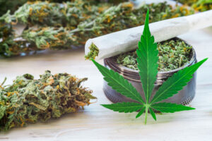 Quel est le taux d'une fleur de CBD normale ? Ce que disent vraiment les chiffres 